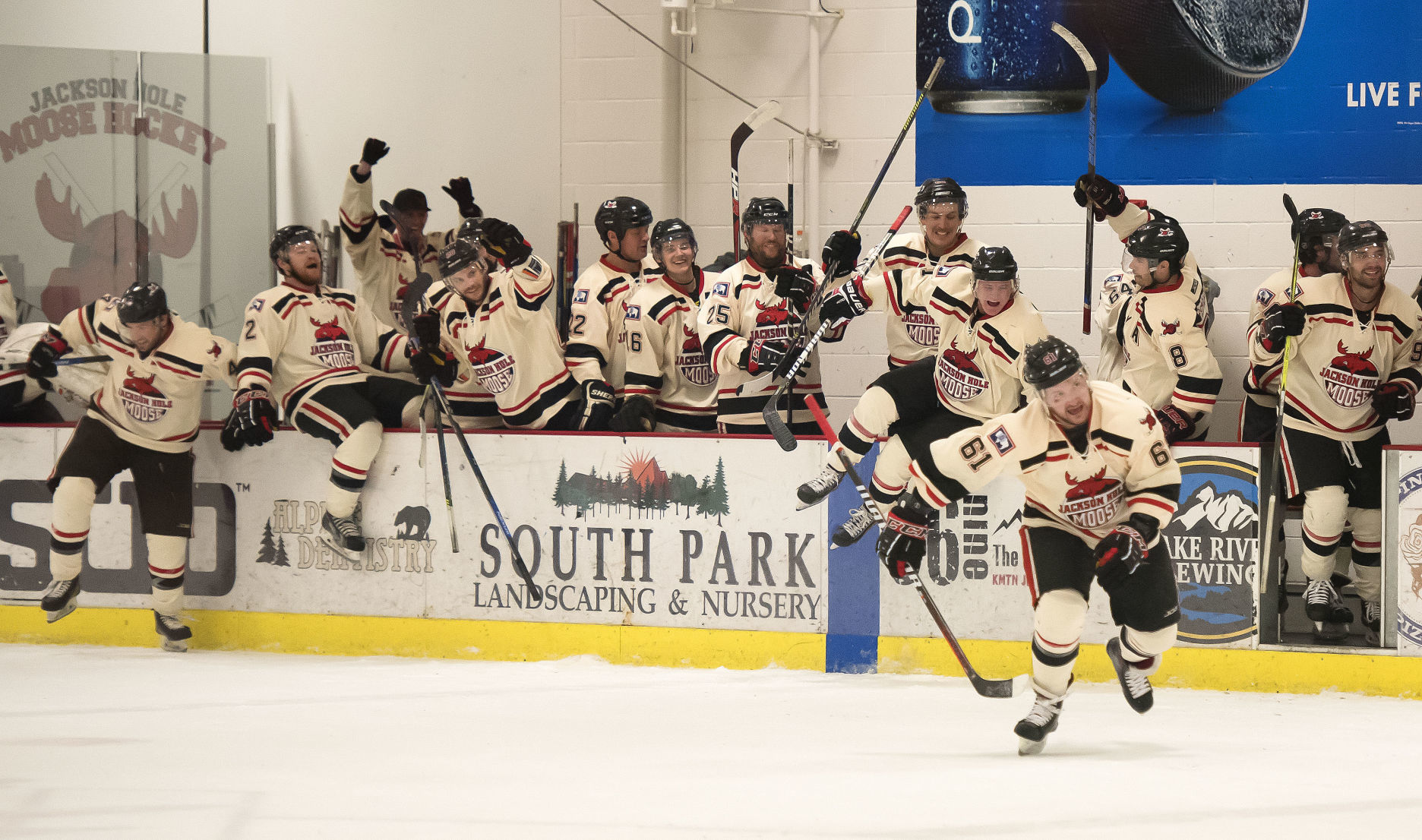 Moose hockey